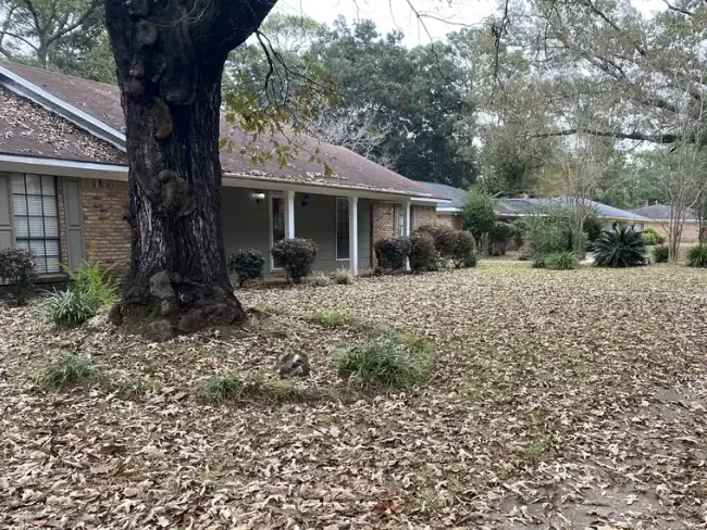 Leaf cleanup for a West Mobile-area property